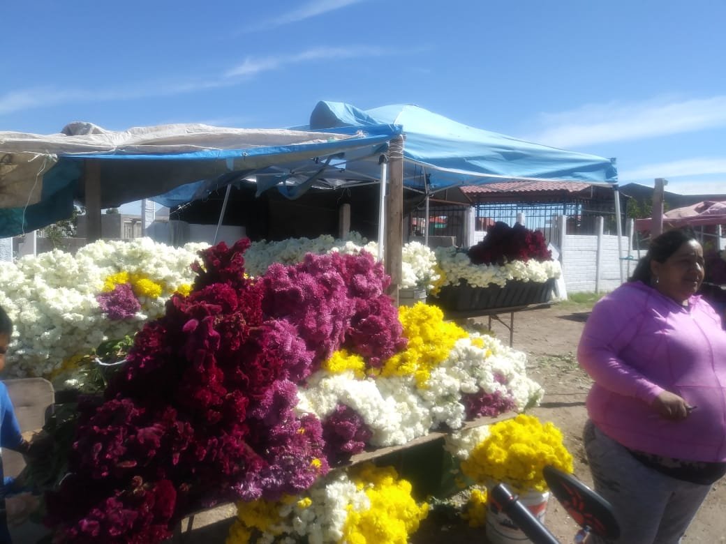 EN LA 'FERIA DEL HUESO', FLORES DESDE 25 PESOS EL RAMO - La Noticia